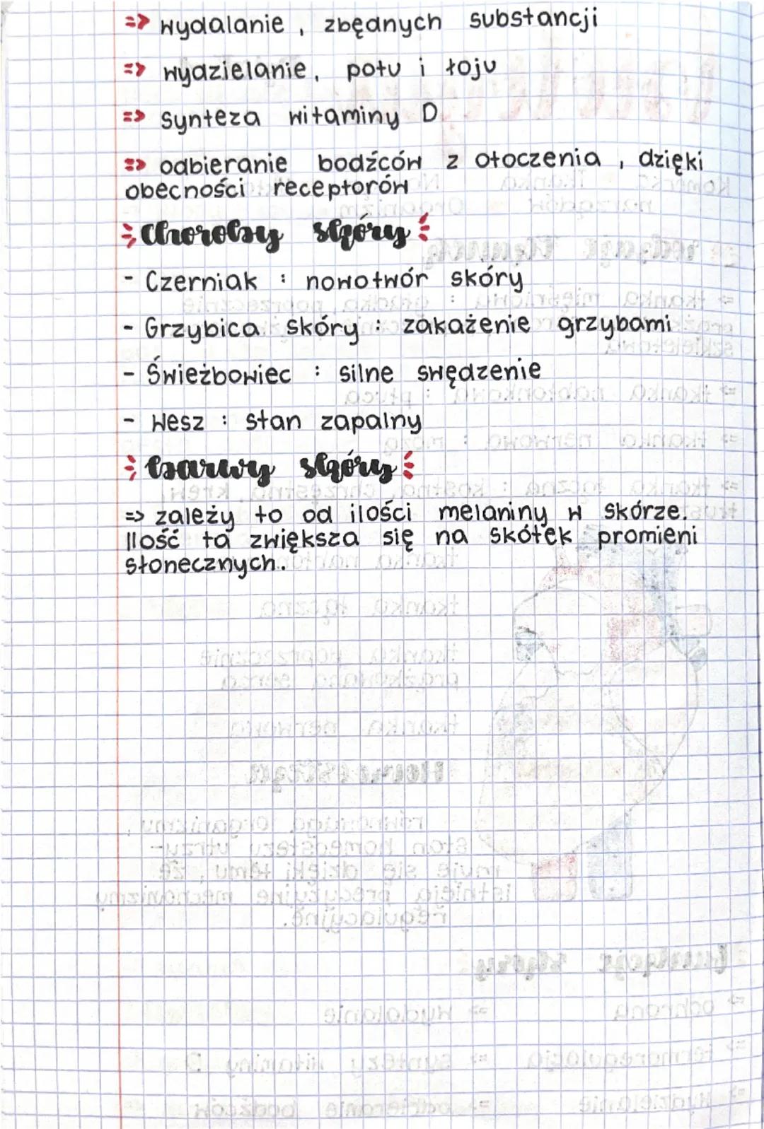 ## biologia

### układy

1. Układ szkieletowy => chroni narządy wewnętrzne
2. Układ nerwowy => odbiera bodźce i wywołuje odpowiednie reakcje