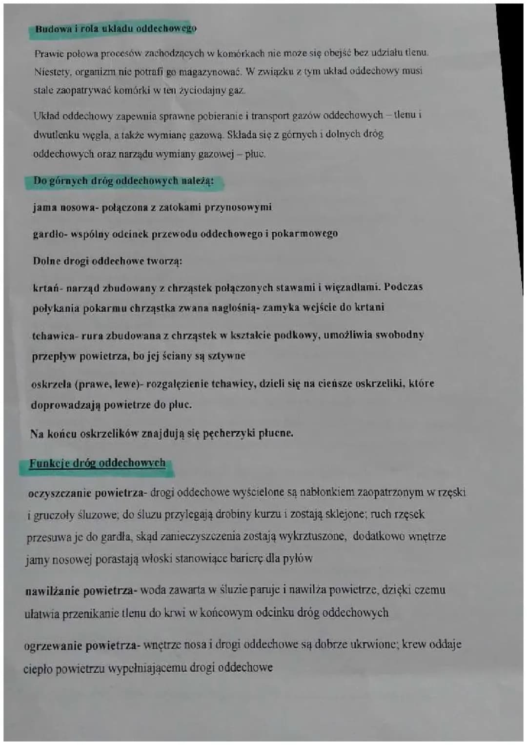 Układ oddechowy biologia | Rola układu oddechowego 