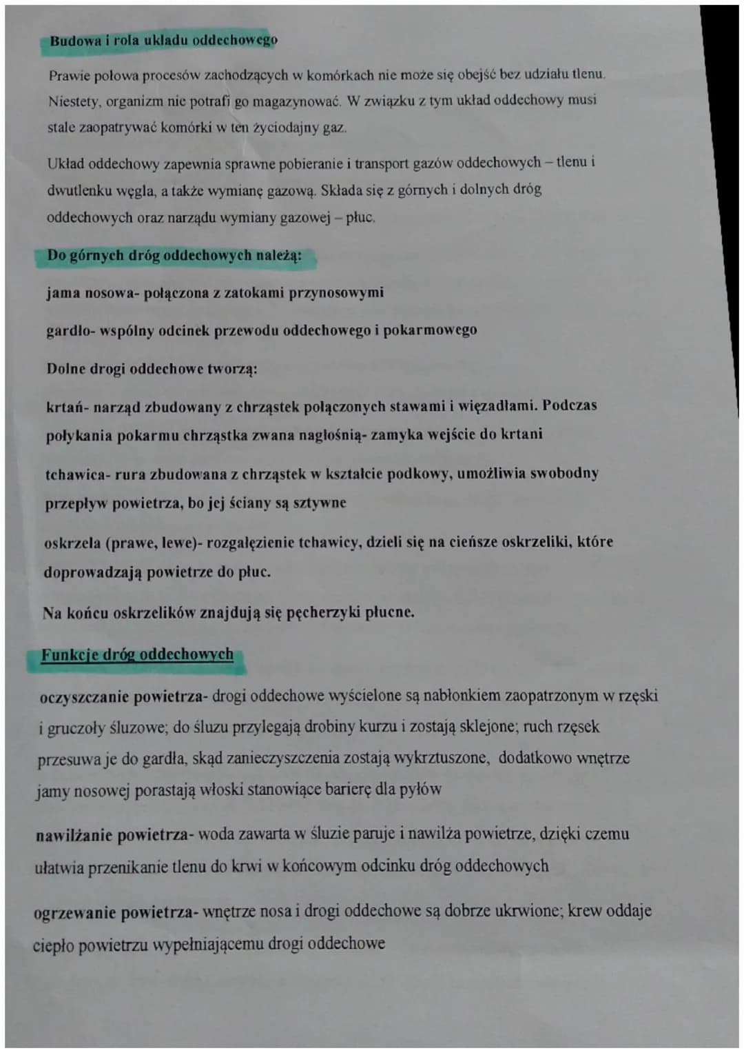 Budowa i rola układu oddechowego
Prawie połowa procesów zachodzących w komórkach nie może się obejść bez udziału tlenu.
Niestety, organizm n