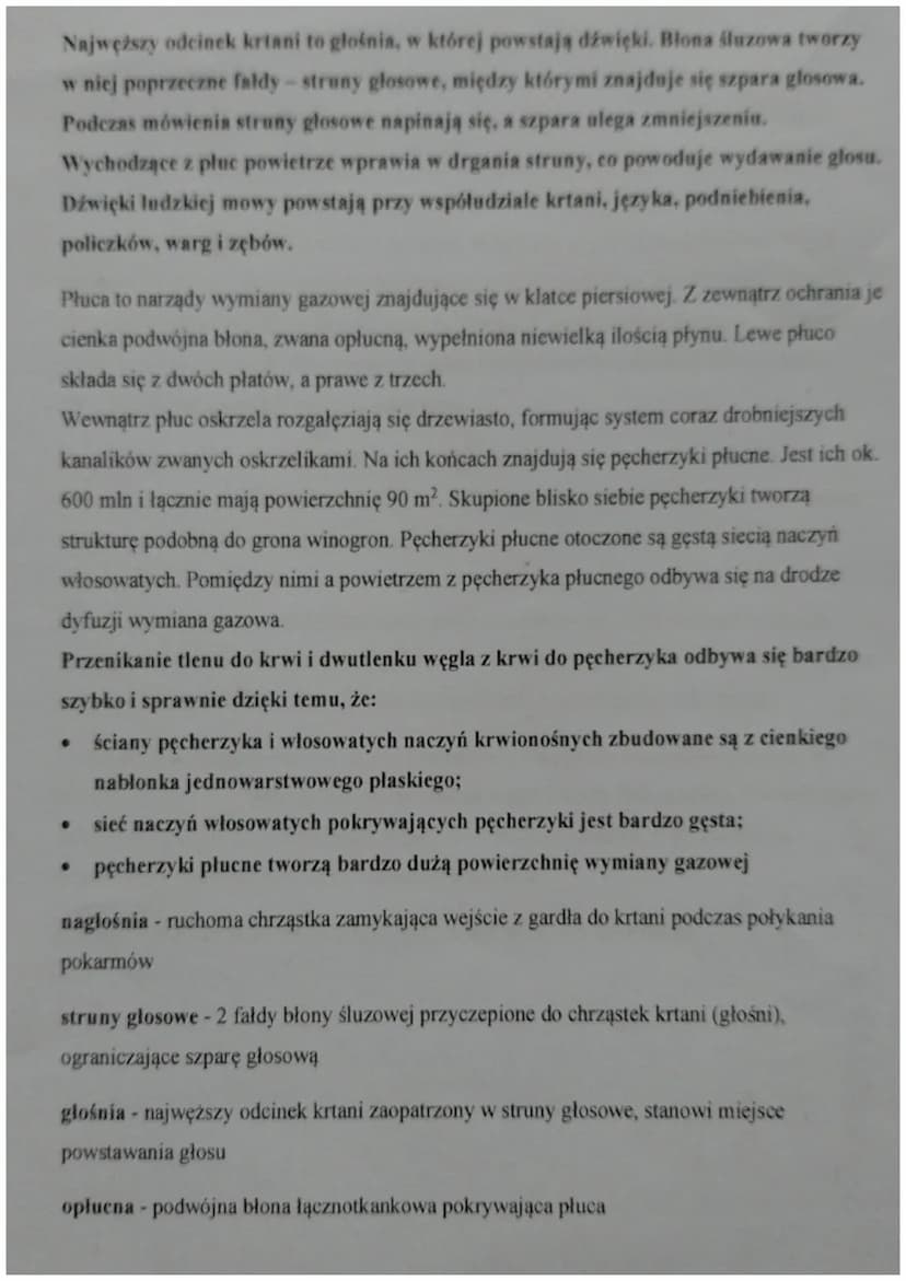 Budowa i rola układu oddechowego
Prawie połowa procesów zachodzących w komórkach nie może się obejść bez udziału tlenu.
Niestety, organizm n