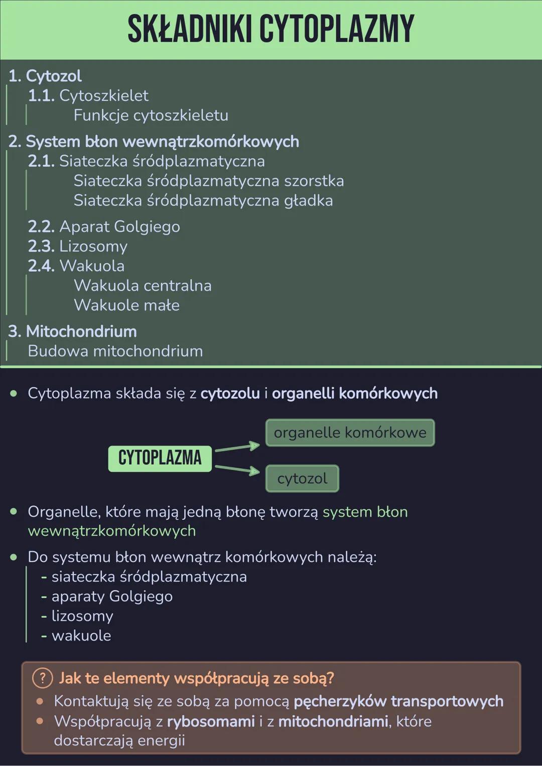 🟢 Składniki cytoplazmy 