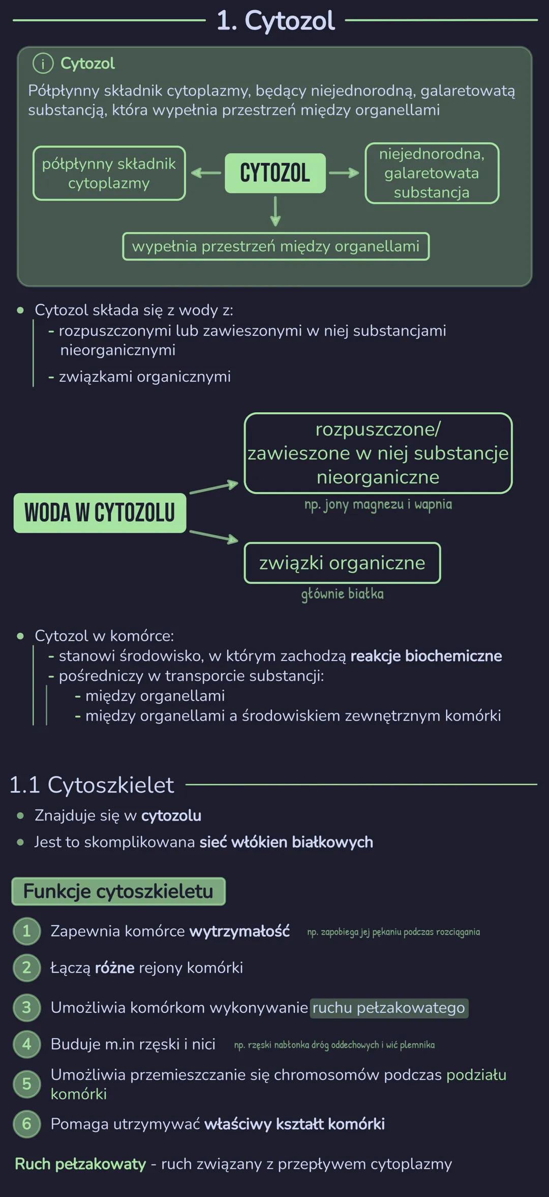 # SKŁADNIKI CYTOPLAZMY

1. Cytozol

1.1. Cytoszkielet

   Funkcje cytoszkieletu

2. System błon wewnątrzkomórkowych

2.1. Siateczka śródplaz