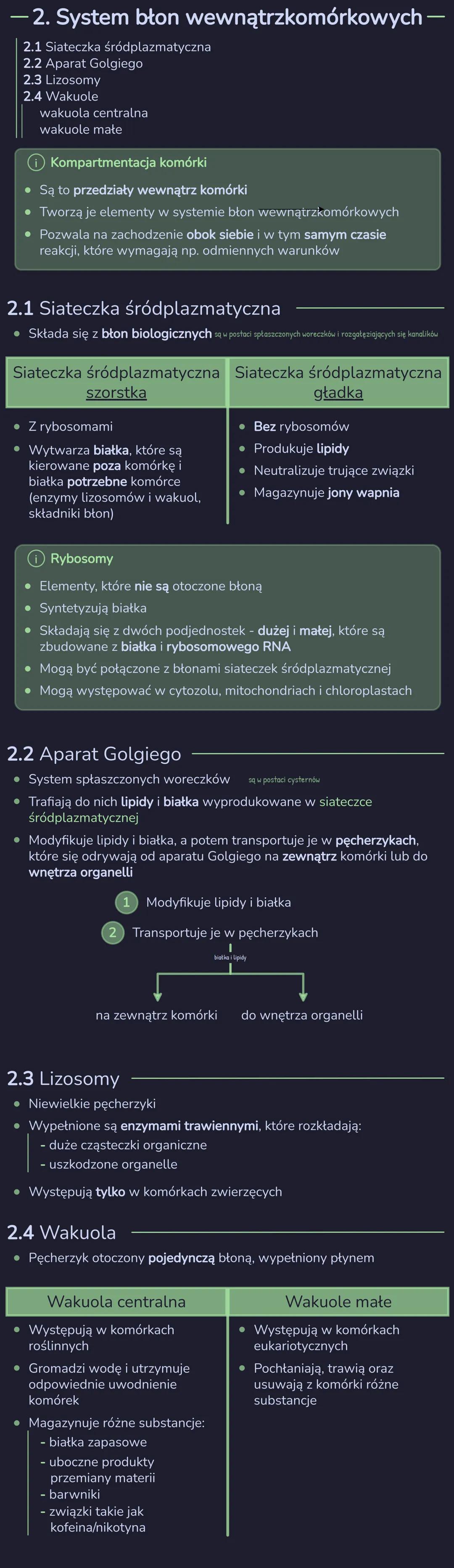 # SKŁADNIKI CYTOPLAZMY

1. Cytozol

1.1. Cytoszkielet

   Funkcje cytoszkieletu

2. System błon wewnątrzkomórkowych

2.1. Siateczka śródplaz