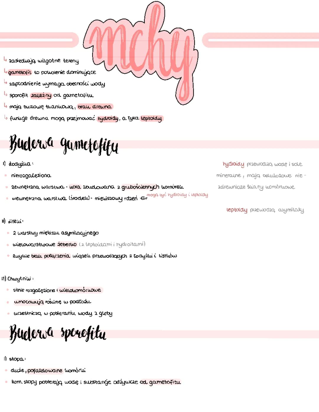 Mchy / Maszaki