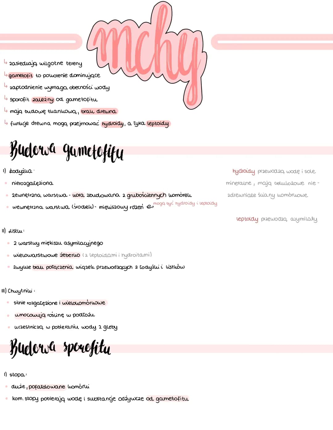 ܒܐ
zasiedlają wilgotne tereny
L gametofit to powolenie dominujące
zapłodnienie wymaga obecności
sporofit zależny od gametofitu
↳ mają budowę