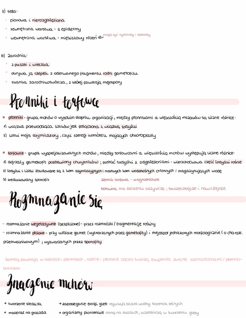 ܒܐ
zasiedlają wilgotne tereny
L gametofit to powolenie dominujące
zapłodnienie wymaga obecności
sporofit zależny od gametofitu
↳ mają budowę
