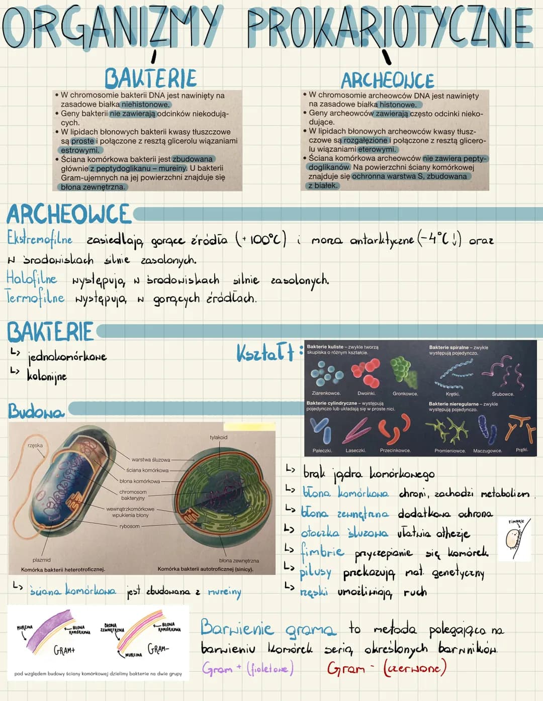 Zdolność bakteri do wiązania azotu atmosferycznego!
Azot to pierwiastek biogenny niezbędny do życia wszystkich organizmów. Powietrze zawiera