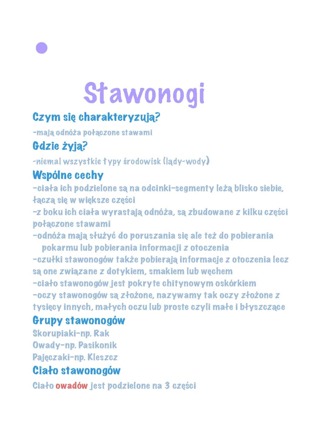 stawonogi 