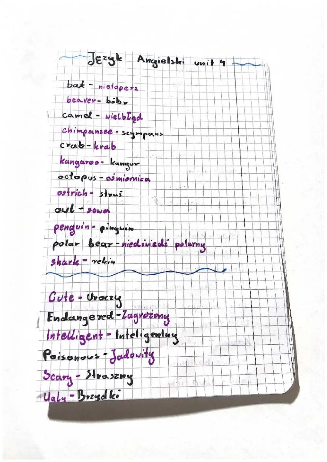 Syreszczenie Język Angilski klasa 6 unit 4