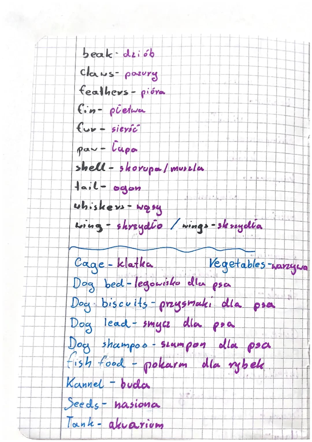 11 T
Język Angielski unit 4
bat - nietoperz
beaver- baby
camel - wielbłąd
chimpanzee - szympans
crab-krab
kangaroo- kangur
octopus - ośmiorn