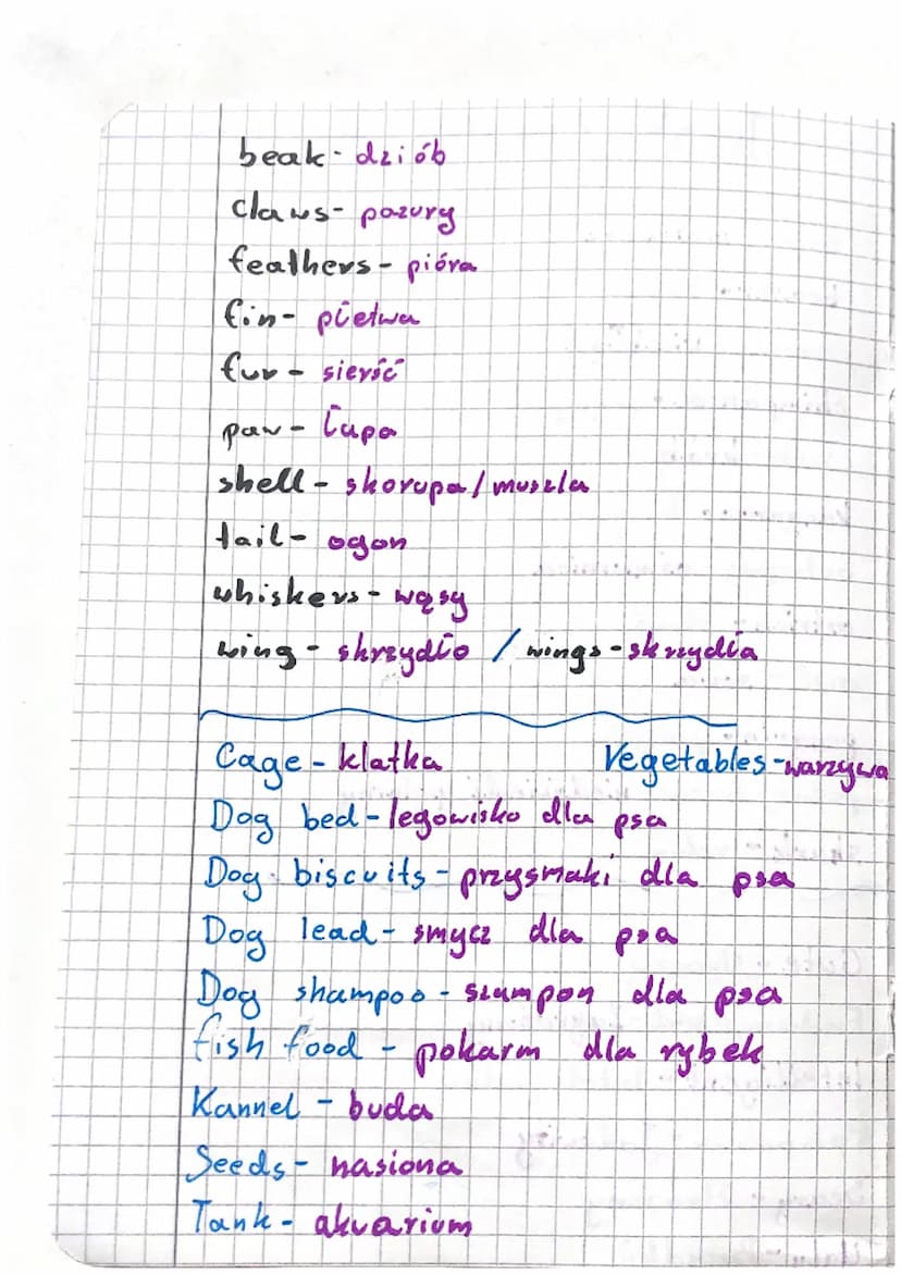 11 T
Język Angielski unit 4
bat - nietoperz
beaver- baby
camel - wielbłąd
chimpanzee - szympans
crab-krab
kangaroo- kangur
octopus - ośmiorn