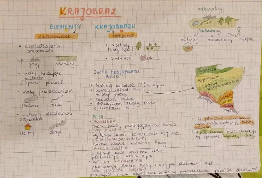 Krajobraz 