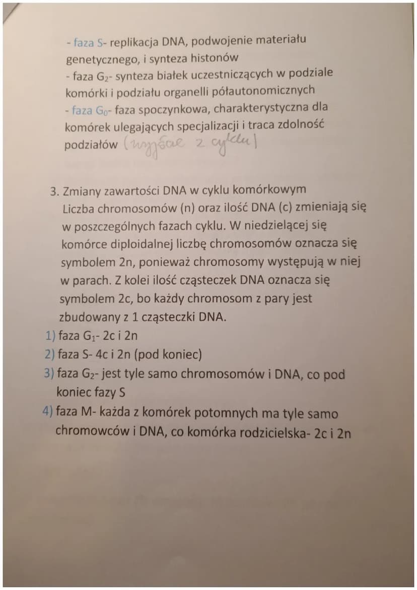 CYKL KOMÓRKOWY. MITOZA
1. Cykl życiowy komórki eukariotycznej
Cykl komórkowy to wszystkie procesy zachodzące od
powstania komórki (w wyniku 
