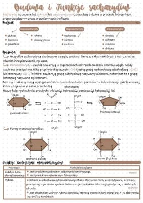 Know Budowa i funkcje sacharydów thumbnail