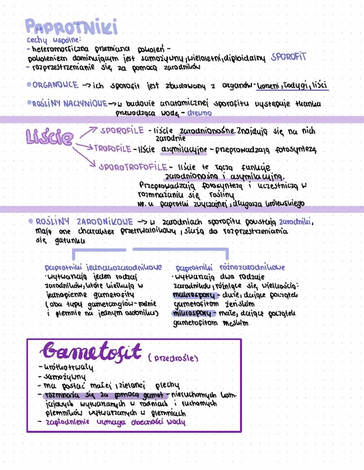 Know Paprotniki Biologia rozszerzona klasa 2 thumbnail