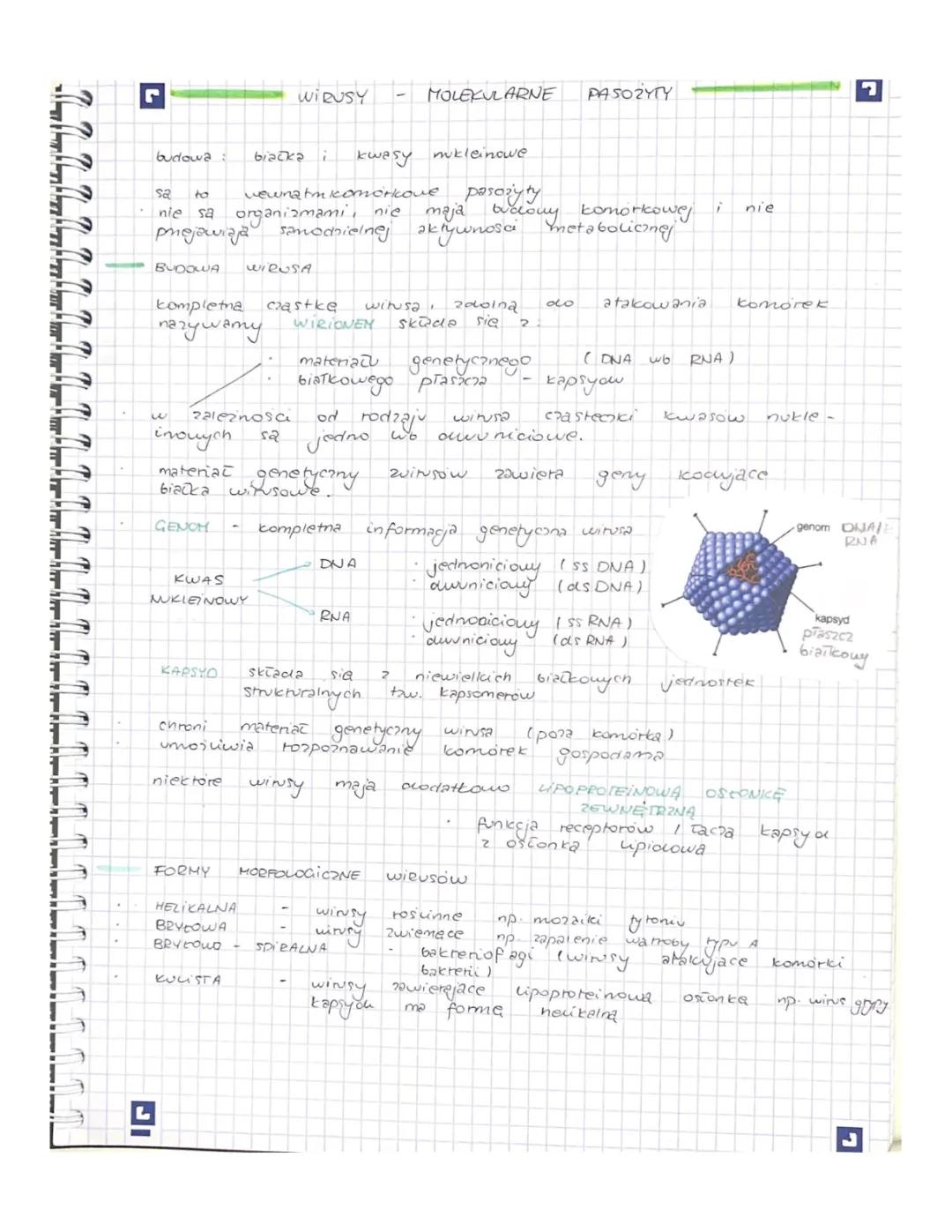 Wirusy w Biologii Rozszerzonej dla Klasy 2: Temat 1.1
