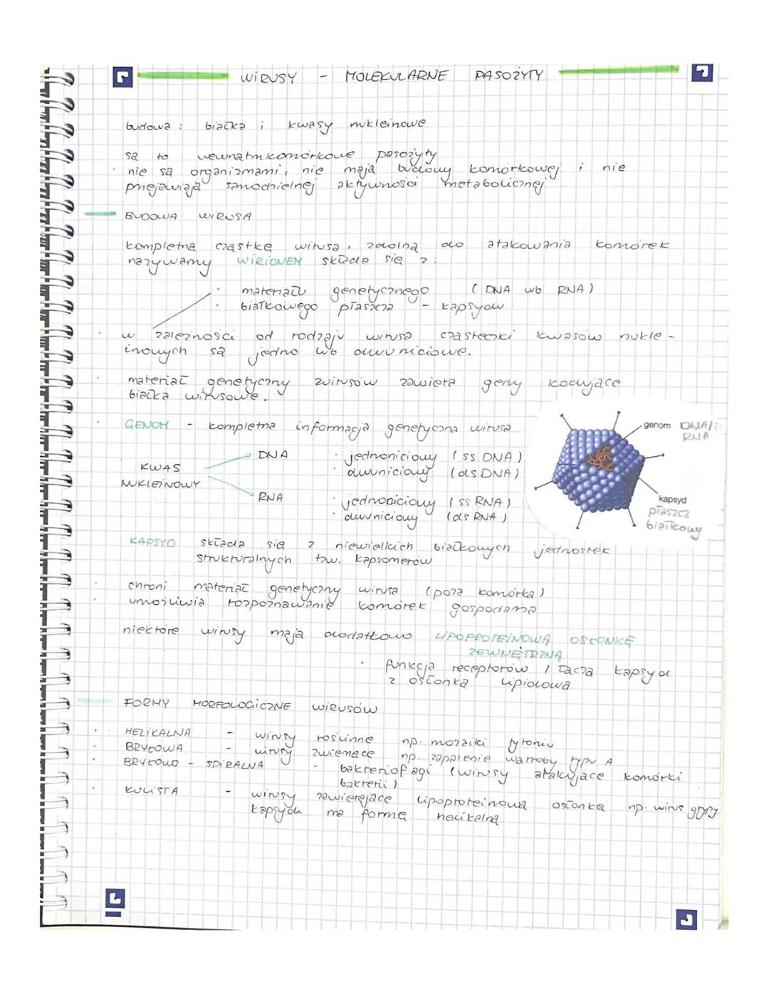 J J J J J
r
budowa:
kwasy nukleinowe
sa to wewnatm komórkcove pasożyty
nie sa
organismami, nie maja budouy komorkowej
prejawiaja samodnielne