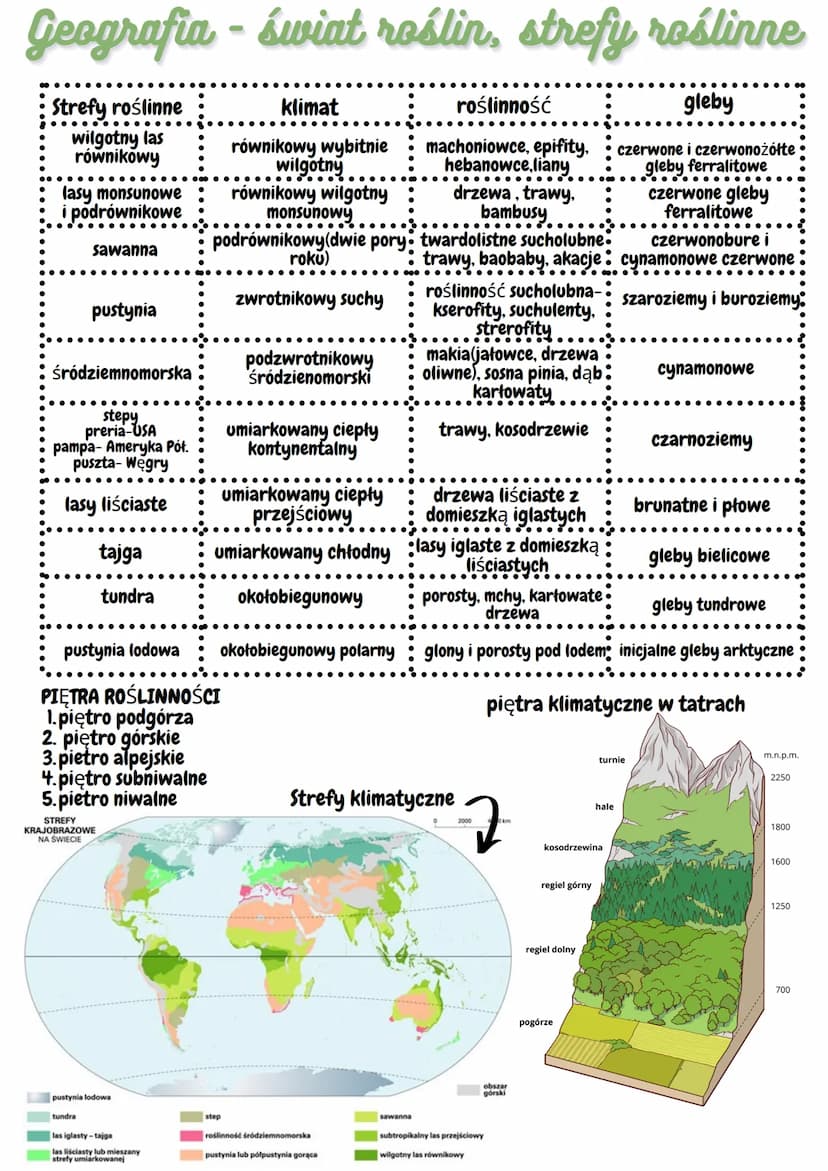 Geografia - powstanie gleb
GLEBA-najbardziej zewnętrzna ze wszystkich warstw litosfery. Stanowi
ona bezpośrednią granicę z innymi sferami.
B