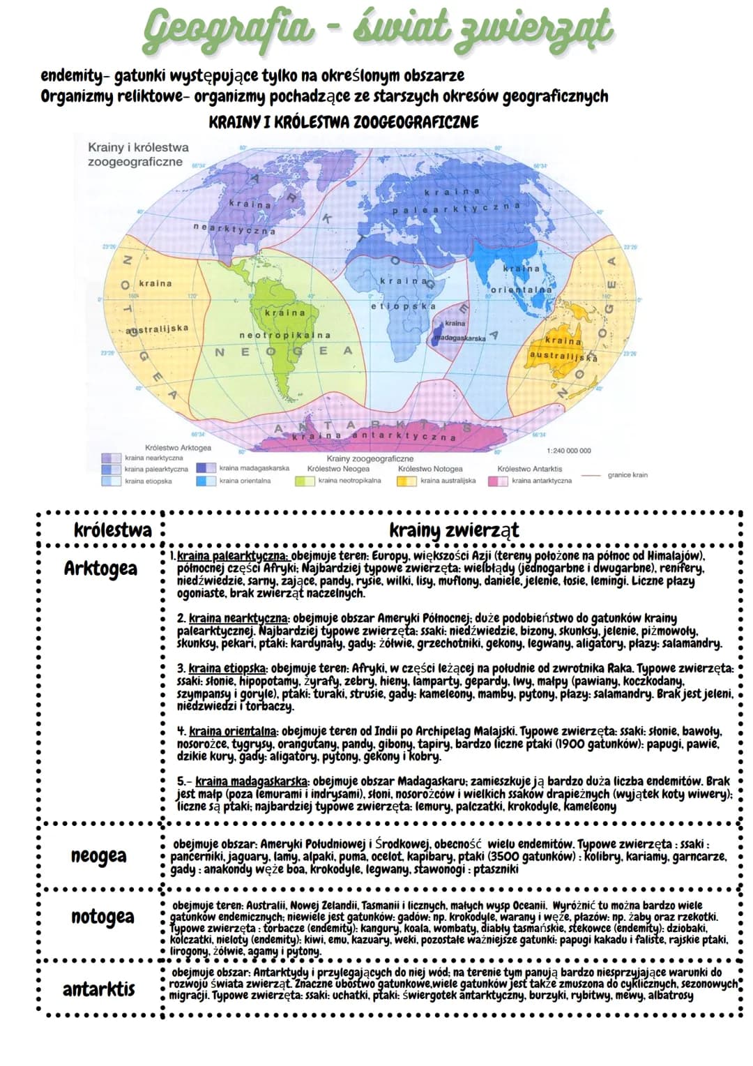 Geografia - powstanie gleb
GLEBA-najbardziej zewnętrzna ze wszystkich warstw litosfery. Stanowi
ona bezpośrednią granicę z innymi sferami.
B