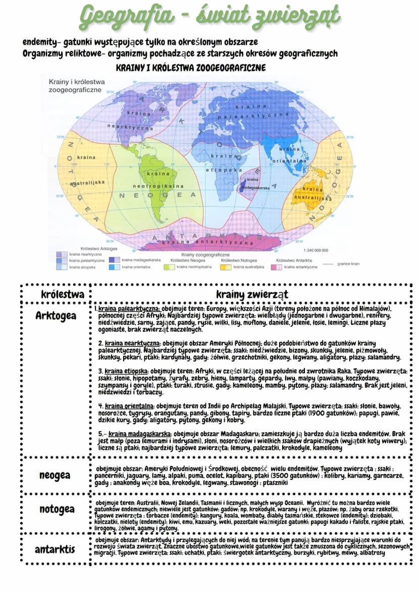 Geografia - powstanie gleb
GLEBA-najbardziej zewnętrzna ze wszystkich warstw litosfery. Stanowi
ona bezpośrednią granicę z innymi sferami.
B