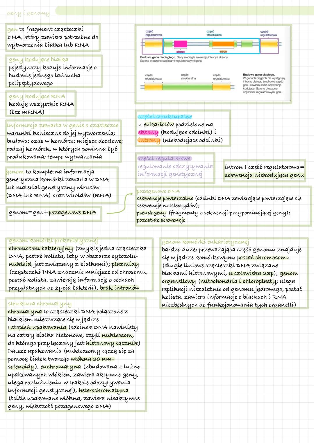 geny i genomy.
gen to fragment cząsteczki
DNA, który zawiera potrzebne do
wytworzenia białka lub RNA
geny kodujące białka
pojedynczy koduje 