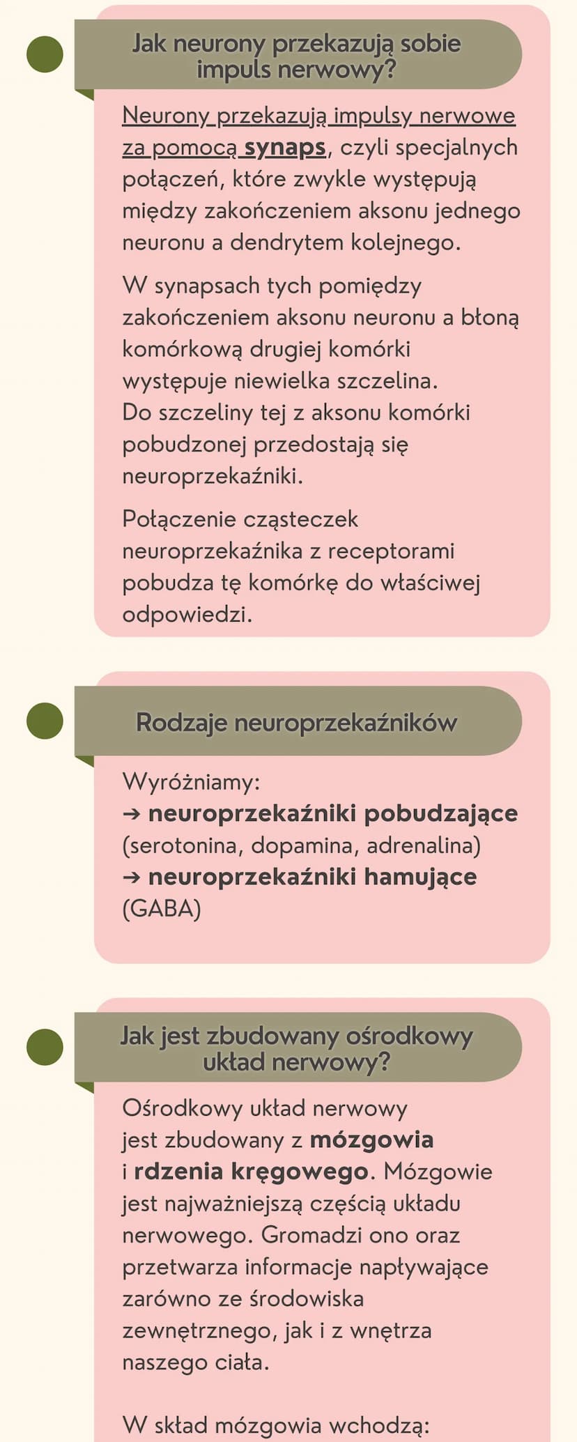 Układ
nerwowy
Jak jest zbudowany układ nerwowy?
Układ nerwowy jest zbudowany
z dwóch części: ośrodkowego układu
nerwowego i obwodowego układ