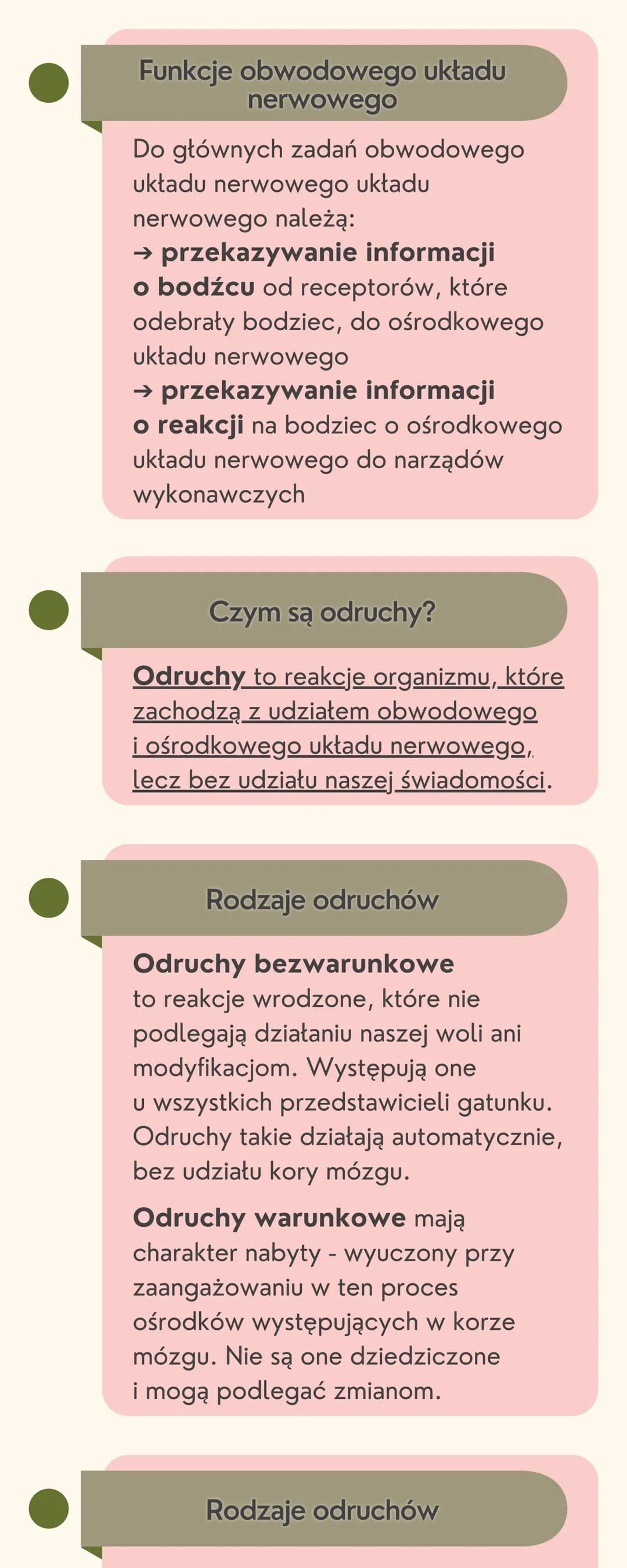 Układ
nerwowy
Jak jest zbudowany układ nerwowy?
Układ nerwowy jest zbudowany
z dwóch części: ośrodkowego układu
nerwowego i obwodowego układ