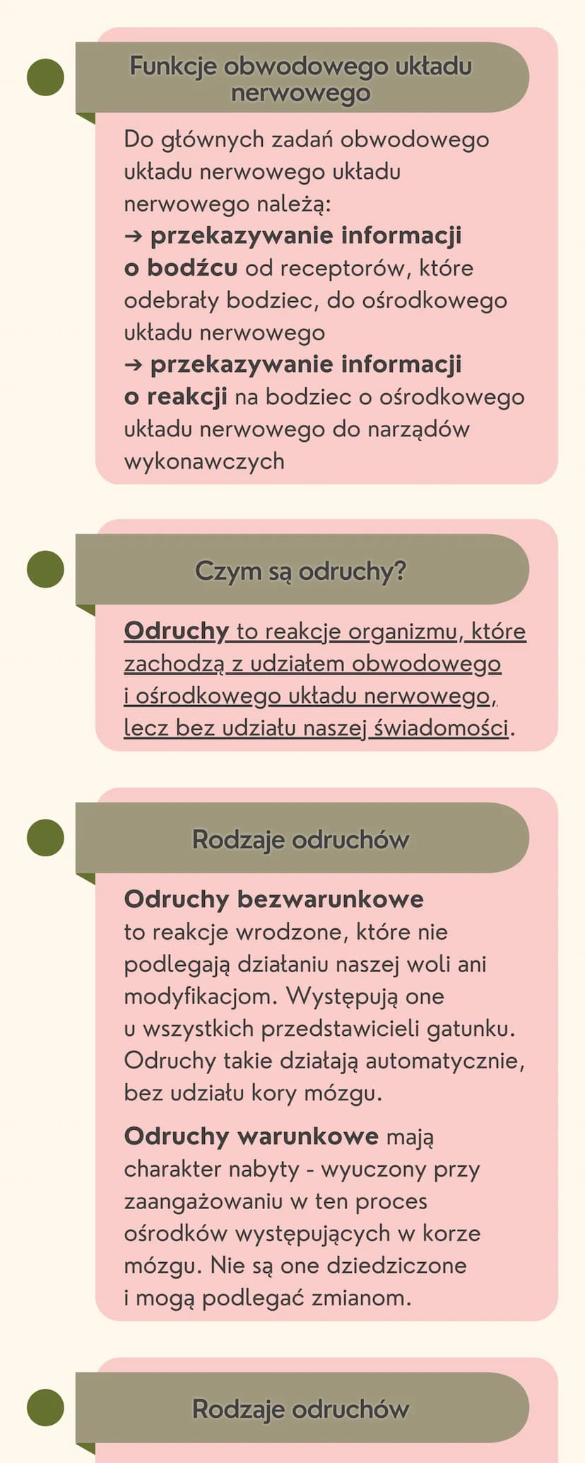 Układ
nerwowy
Jak jest zbudowany układ nerwowy?
Układ nerwowy jest zbudowany
z dwóch części: ośrodkowego układu
nerwowego i obwodowego układ