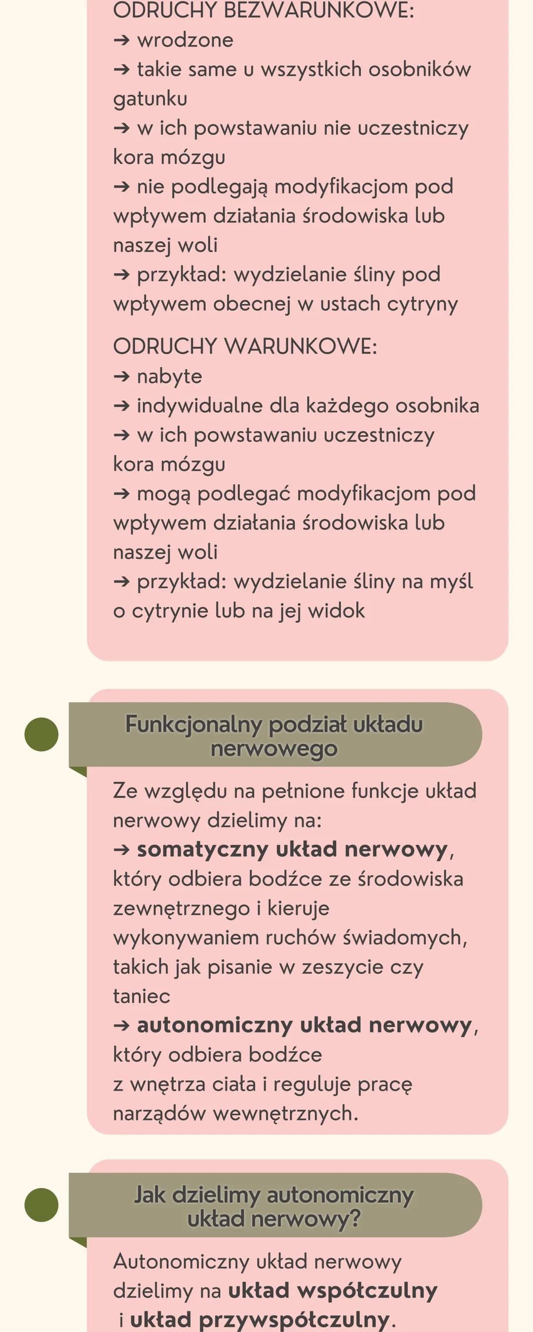 Układ
nerwowy
Jak jest zbudowany układ nerwowy?
Układ nerwowy jest zbudowany
z dwóch części: ośrodkowego układu
nerwowego i obwodowego układ