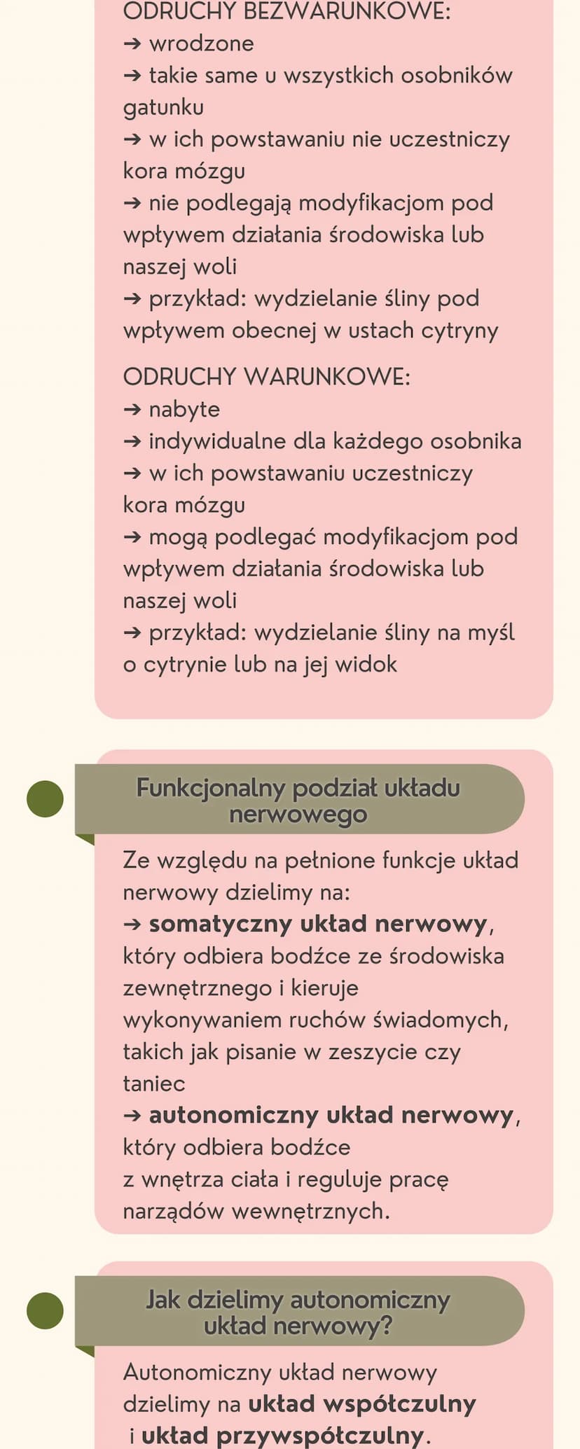 Układ
nerwowy
Jak jest zbudowany układ nerwowy?
Układ nerwowy jest zbudowany
z dwóch części: ośrodkowego układu
nerwowego i obwodowego układ