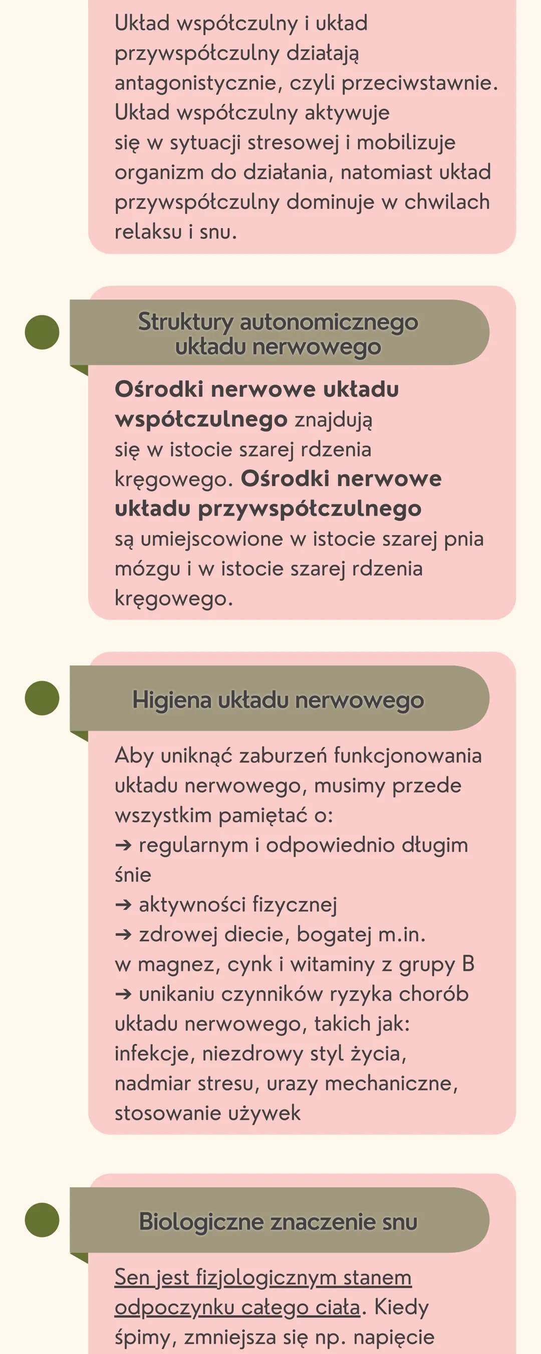 Układ
nerwowy
Jak jest zbudowany układ nerwowy?
Układ nerwowy jest zbudowany
z dwóch części: ośrodkowego układu
nerwowego i obwodowego układ