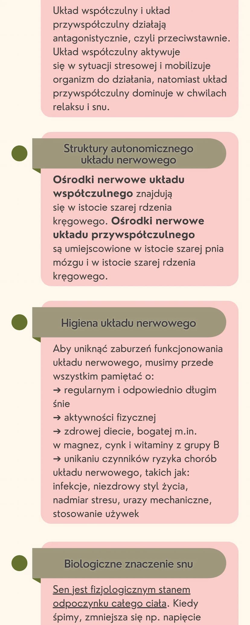 Układ
nerwowy
Jak jest zbudowany układ nerwowy?
Układ nerwowy jest zbudowany
z dwóch części: ośrodkowego układu
nerwowego i obwodowego układ