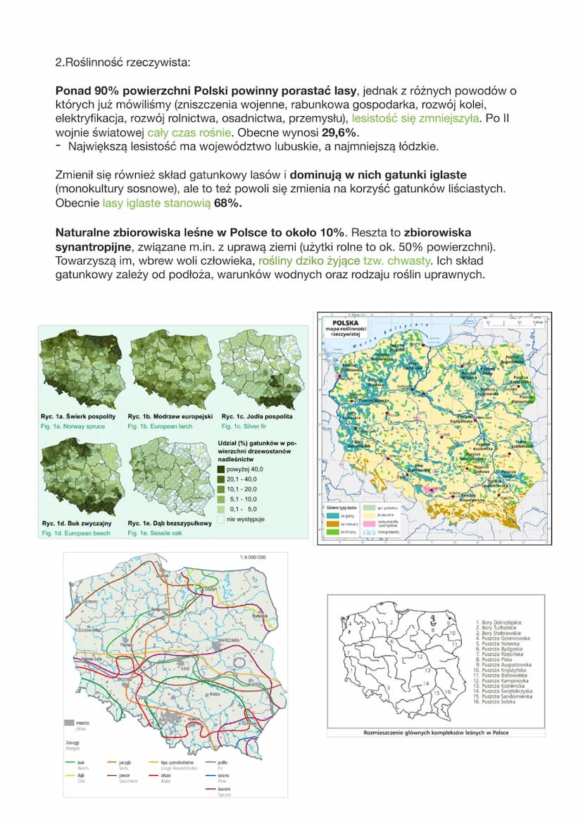 Szata roślinna Polski - roślinność potencjalna i rzeczywista
I Roślinność potencjalna, naturalna:
- Polska w przeważającej większości leży w