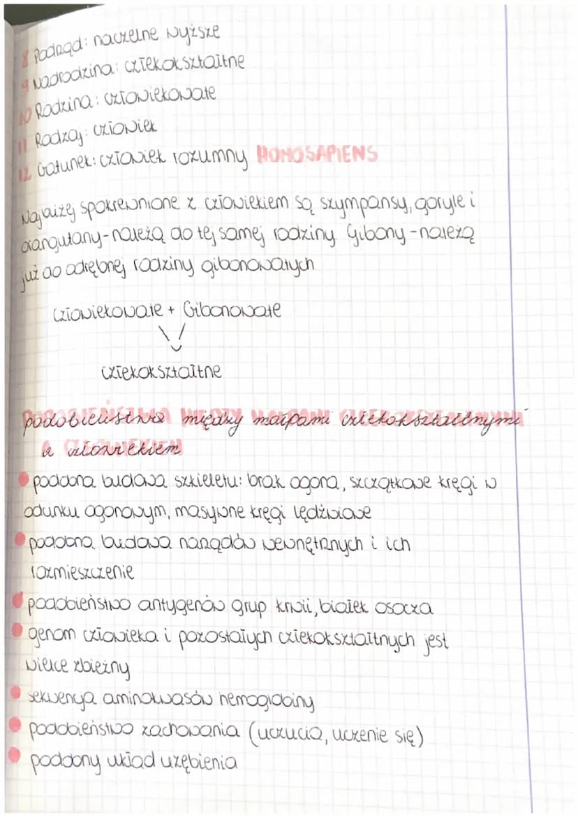 animpogeneza
procesón evolucyjnych, które drogą premian struktur
genetycznych doprowadziły do przekształcenia się
populagi maip predwazkich 
