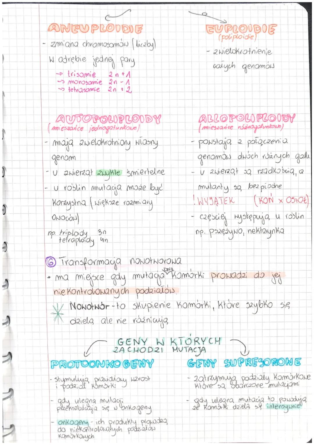 LEKCIA

Temat:MUTACYE

MUTACJA

• nagie, traale zmiany w materiale genetycznym

• większośc mutagi jest nekomustna provada do chorob
genetyc