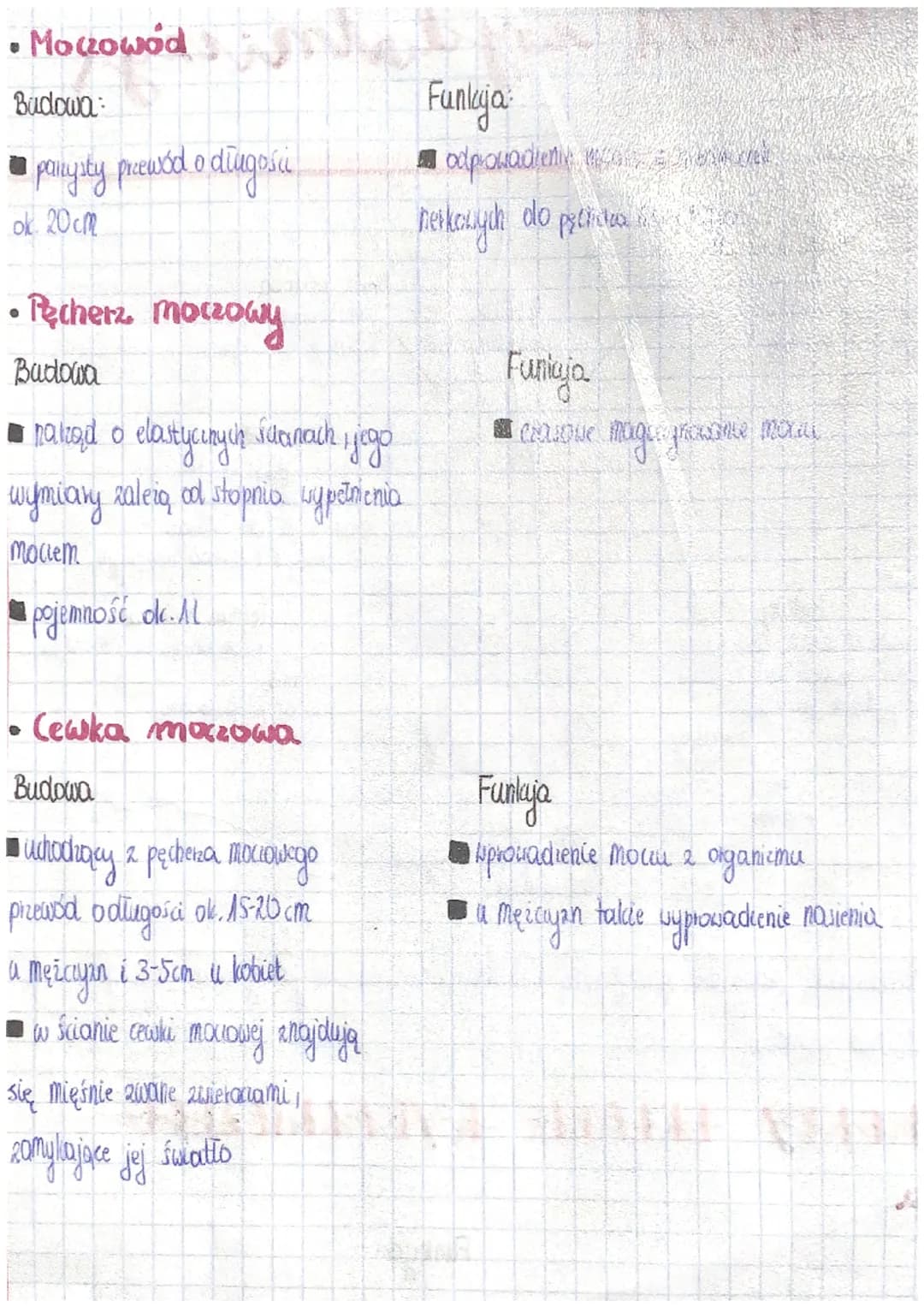 Układ wydaniay
Budowa nerki
Rozen
nertowy
wantwa nanqa
stoilów naly wanych piramidama
nerkonymi
to wewngo.
składa się ze
Kielicky perliowe
t