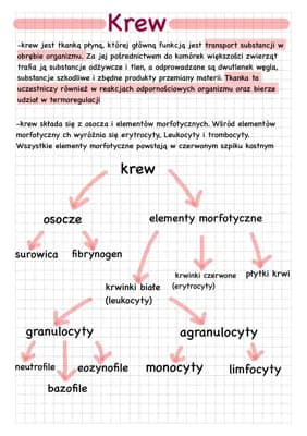 Know Tkanka łączna płynna thumbnail