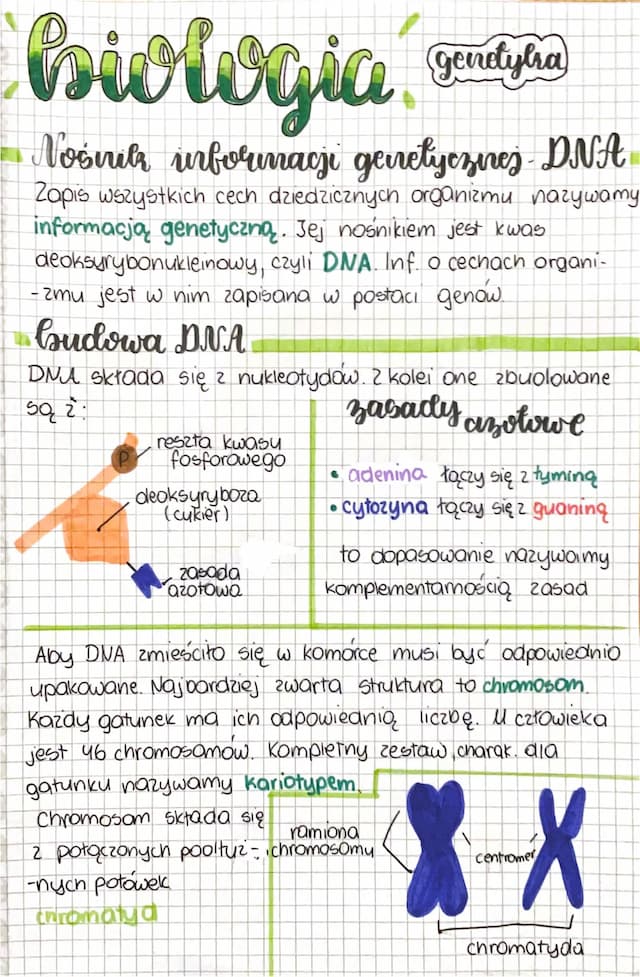 Know Nośnik informacji genetycznej DNA thumbnail