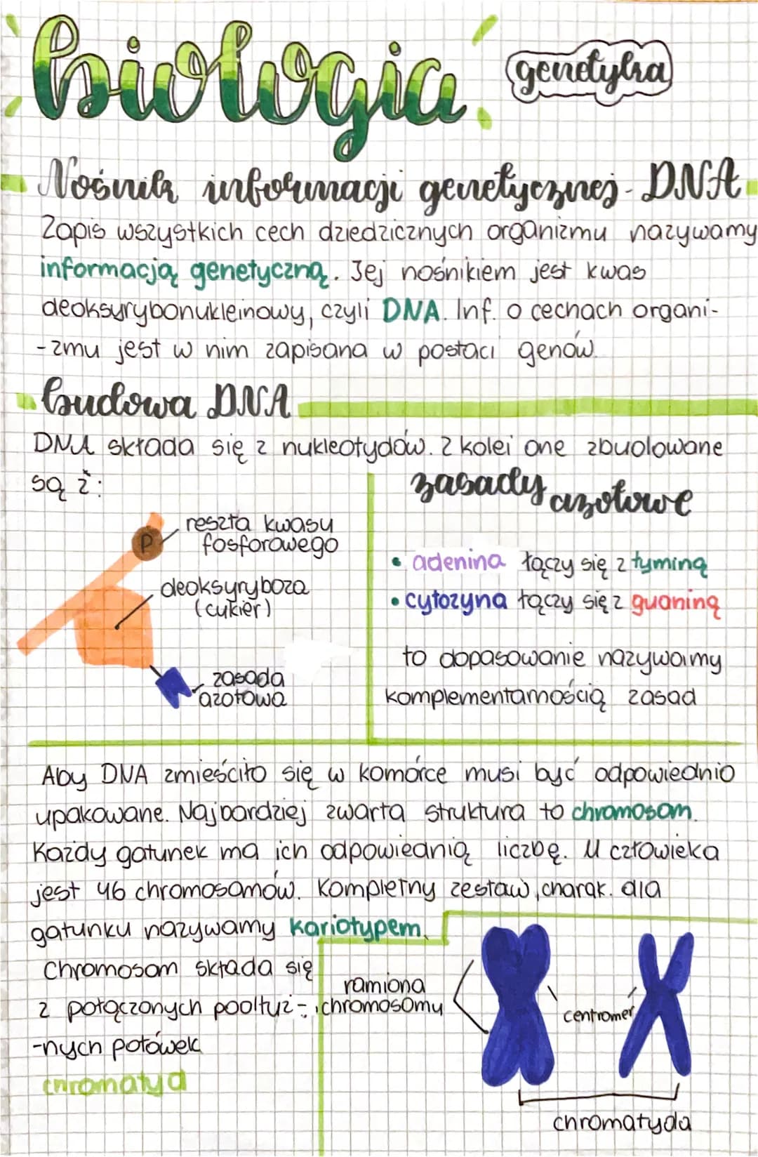 biologia
genetylra
- Nosnik informacji geirelyezires DNA
Zapis wszystkich cech dziedzicznych organizmu nazywamy
informacja genetyczną. Jej n