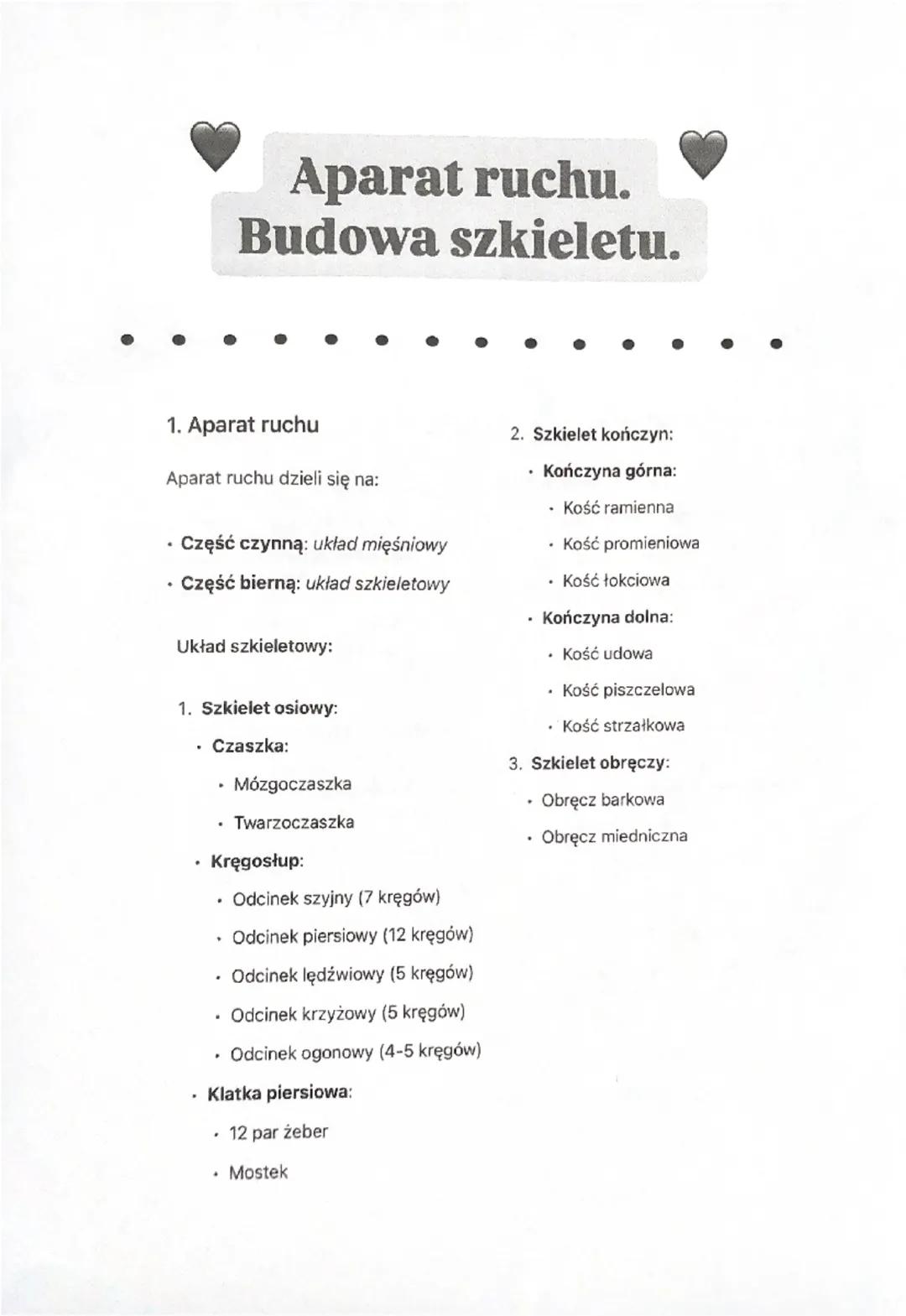 Aparat ruchu.
Budowa szkieletu.
1. Aparat ruchu
Aparat ruchu dzieli się na:
⚫ Część czynną: układ mięśniowy
Część bierną: układ szkieletowy

