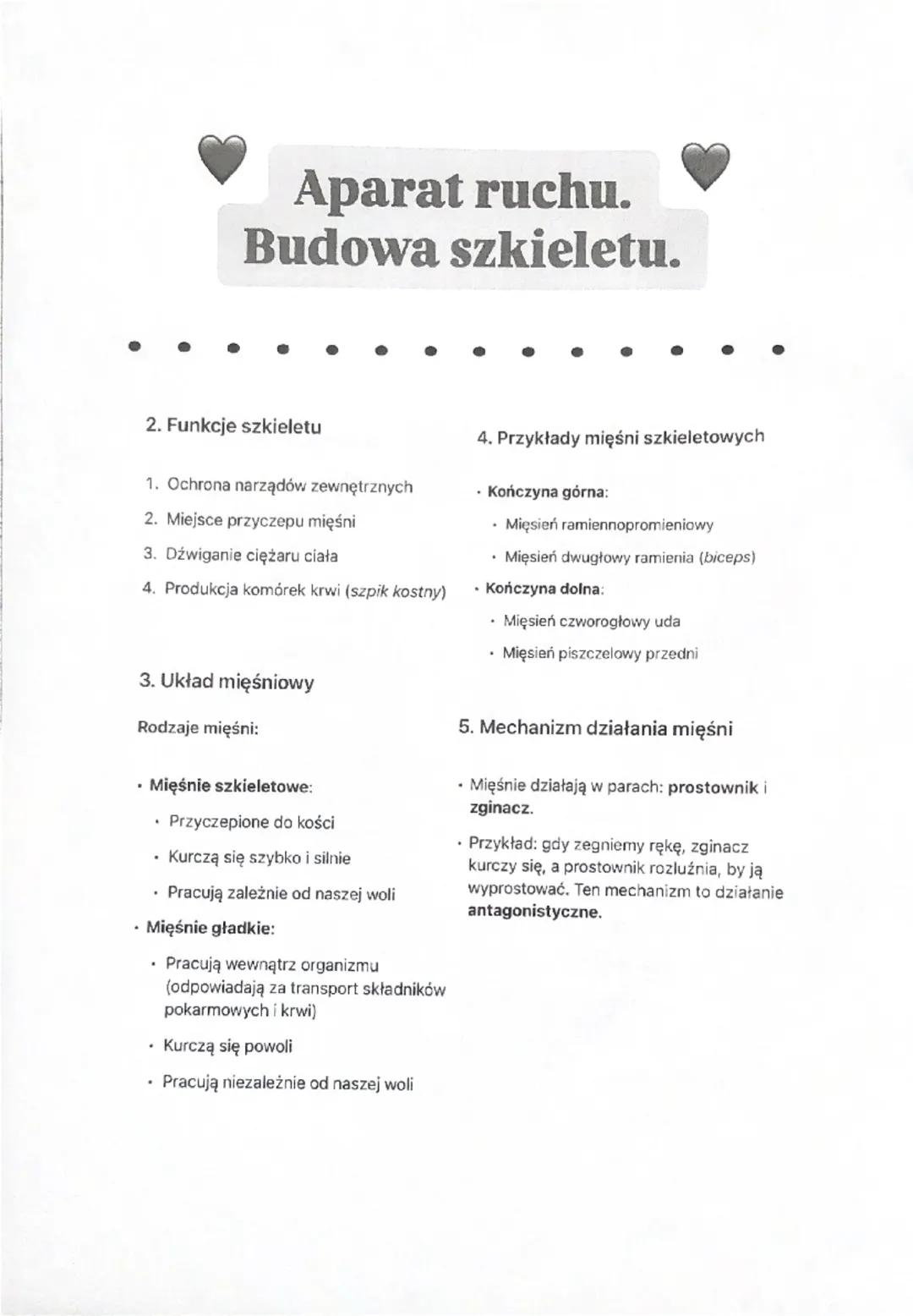 Aparat ruchu.
Budowa szkieletu.
1. Aparat ruchu
Aparat ruchu dzieli się na:
⚫ Część czynną: układ mięśniowy
Część bierną: układ szkieletowy
