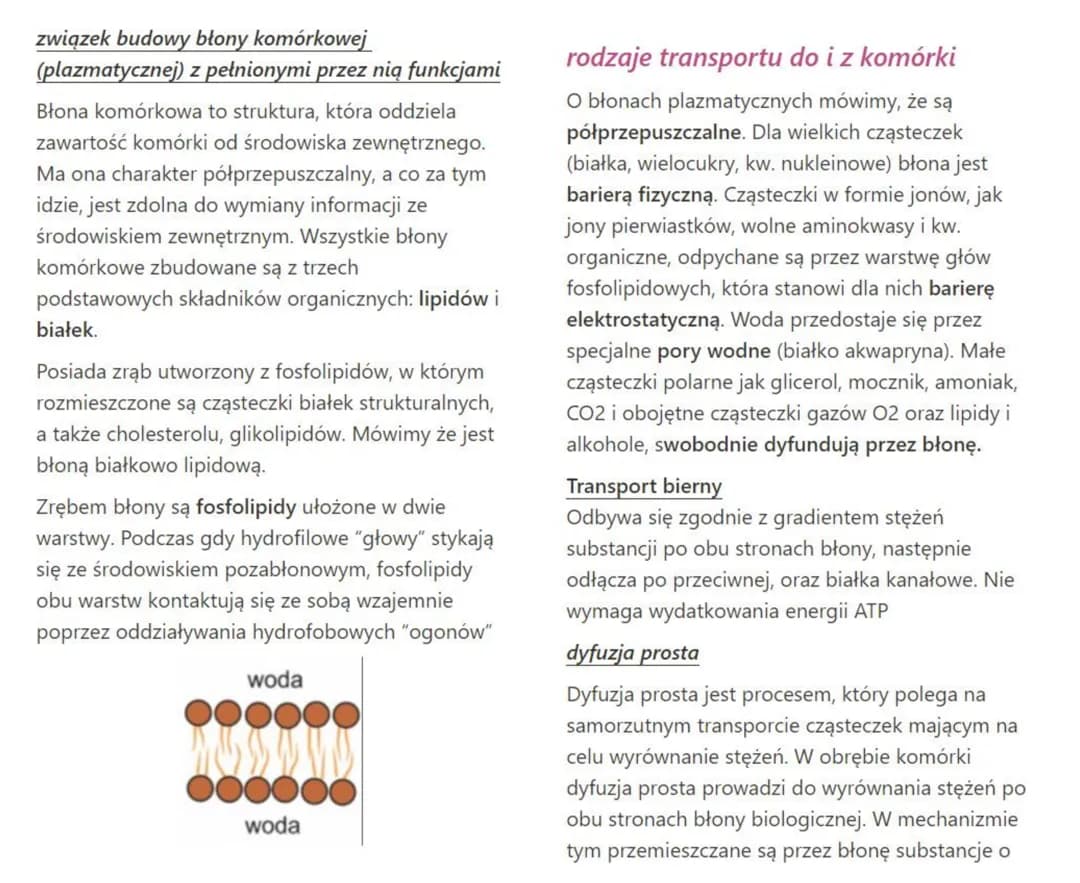 Komórka- błona biologiczna, transport z i do komórki