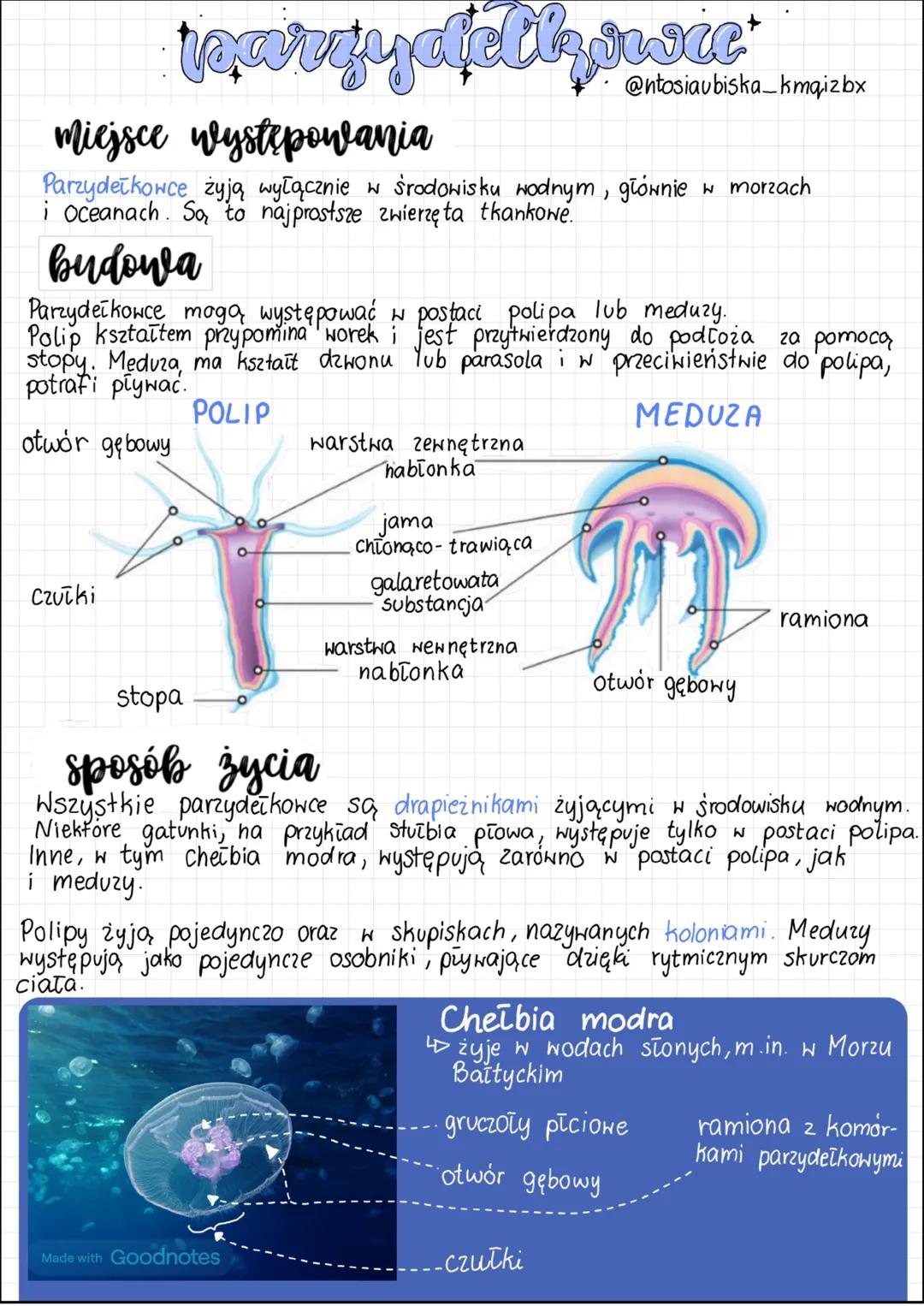 --- OCR Start ---
parzydełkiwic
Miejsce występowania
+
@ntosiaubiska_kmqizbx
Parzydełkowce żyją wyłącznie w środowisku wodnym, głównie w mor