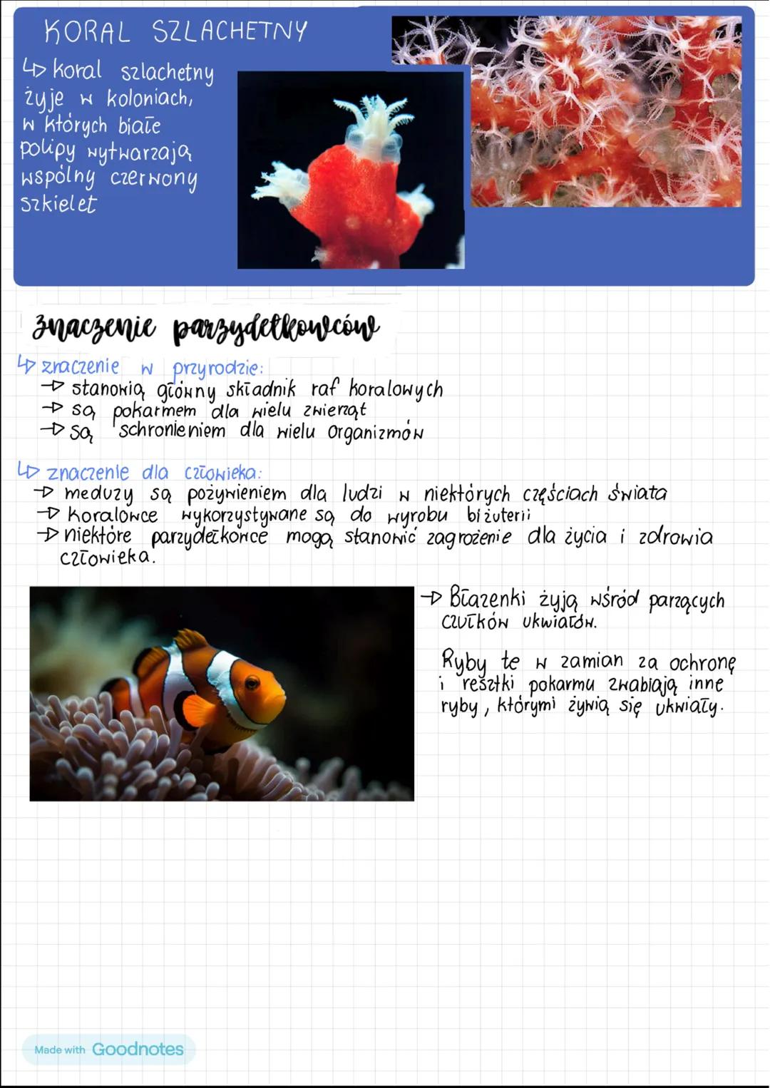 --- OCR Start ---
parzydełkiwic
Miejsce występowania
+
@ntosiaubiska_kmqizbx
Parzydełkowce żyją wyłącznie w środowisku wodnym, głównie w mor