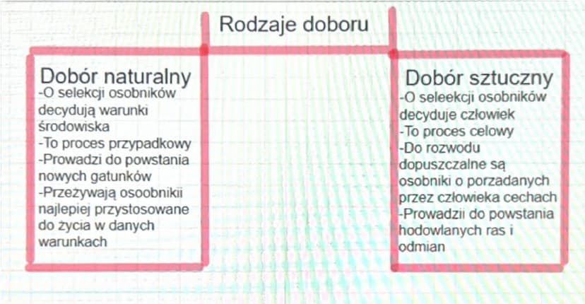 --- OCR Start ---
źródła wiedzy o ewolucji
Ewolucja to proces stopniowych ciągłych zmian organizmow prowadzących do
pwatania nowych gatunków
