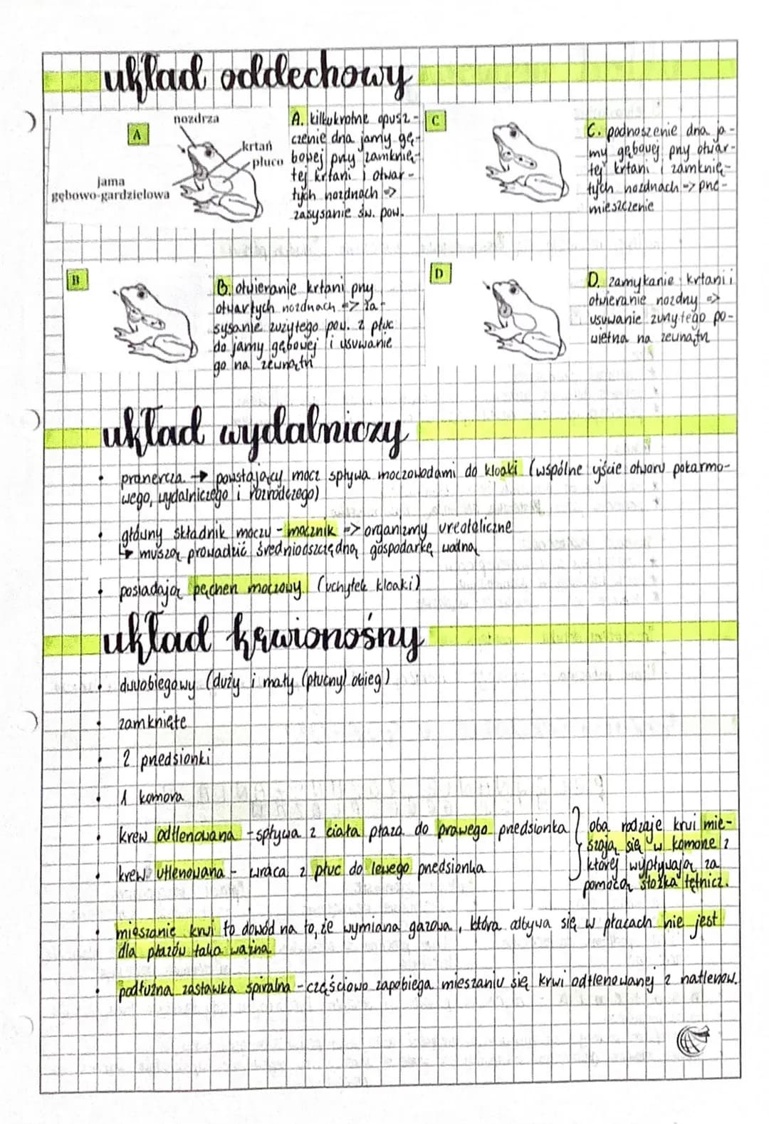 pe
kijanki / larwy posiadajon
sknela
płucodyszne
(formy doroste)
zimą hibernują
8
7
phystosowane do życia na lądzie,
ale uzależnione rozwoje