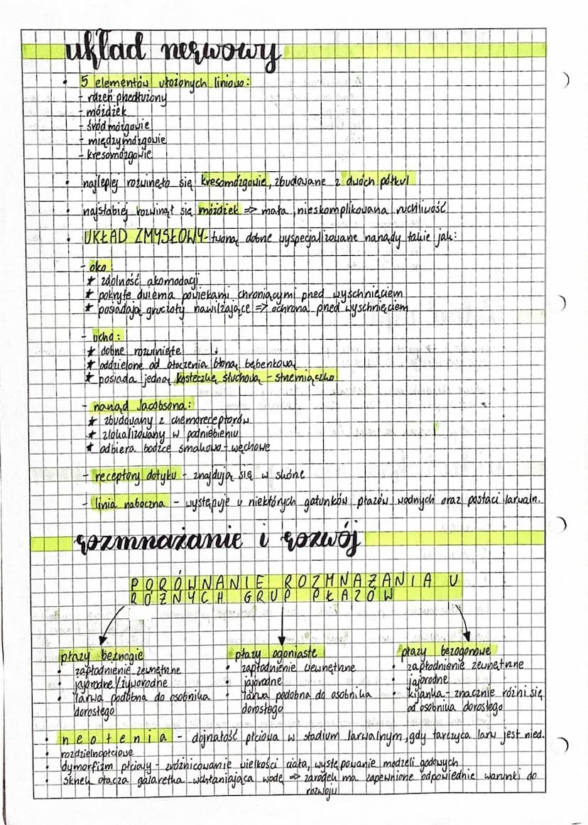 pe
kijanki / larwy posiadajon
sknela
płucodyszne
(formy doroste)
zimą hibernują
8
7
phystosowane do życia na lądzie,
ale uzależnione rozwoje