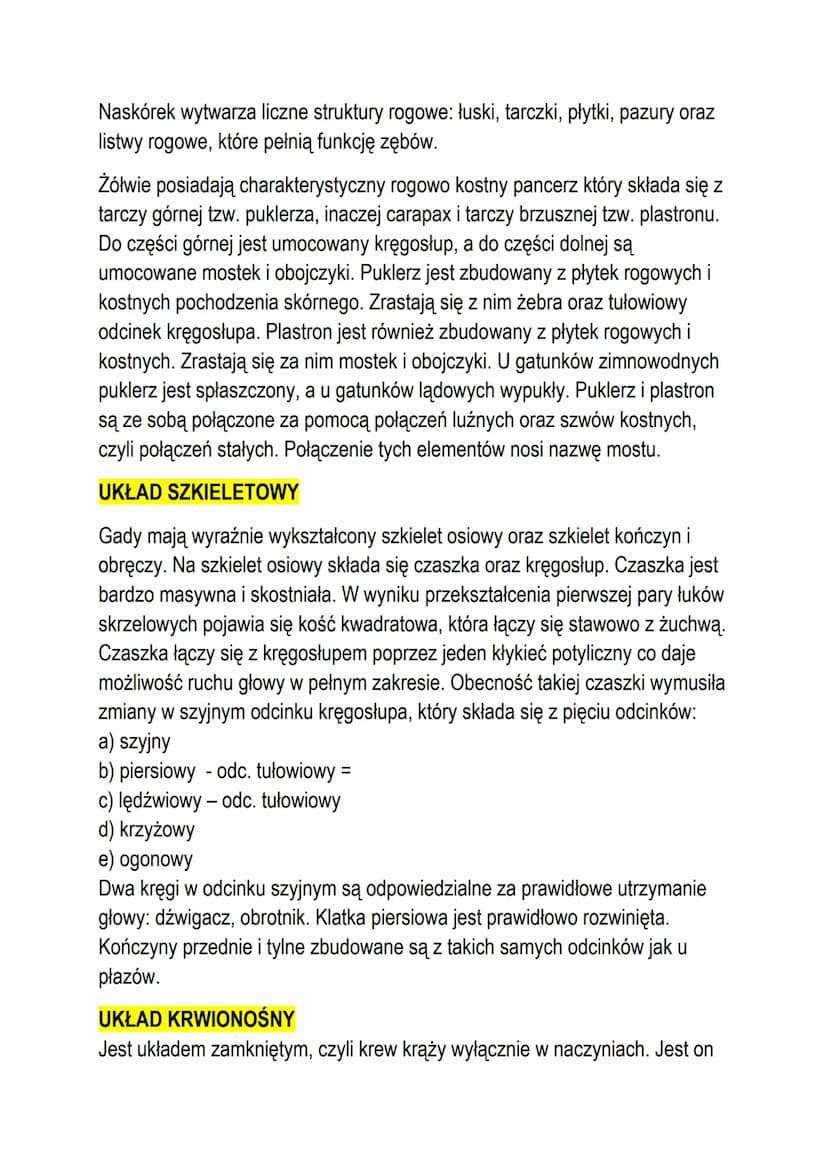 T: Gady - pierwsze owodniowce.
Są to pierwsze zwierzęta przystosowane w pełni do życia w środowisku
lądowym. Niektóre gatunki są wtórnie prz