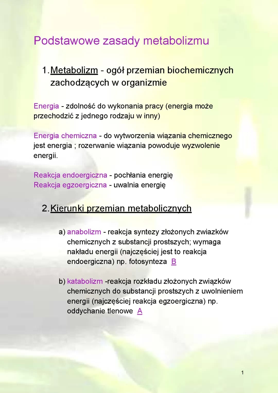 Podstawowe zasady metabolizmu