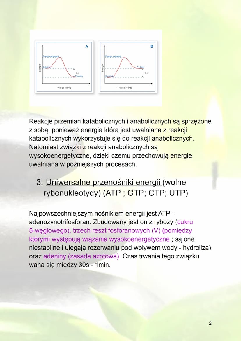 Podstawowe zasady metabolizmu
1. Metabolizm - ogół przemian biochemicznych
zachodzących w organizmie
Energia - zdolność do wykonania pracy (